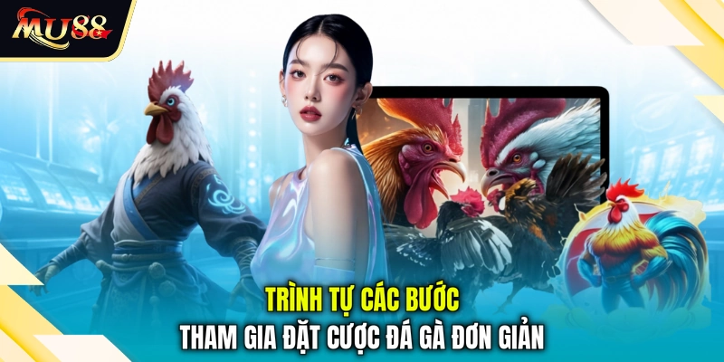 Trình tự các bước tham gia đặt cược đá gà đơn giản